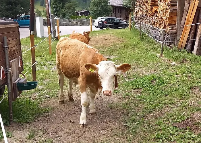 Haus Rose Sankt Jakob in Defereggen