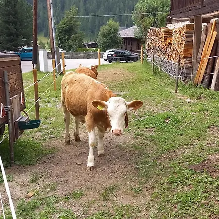 Haus Rose St Jakob in Defereggen